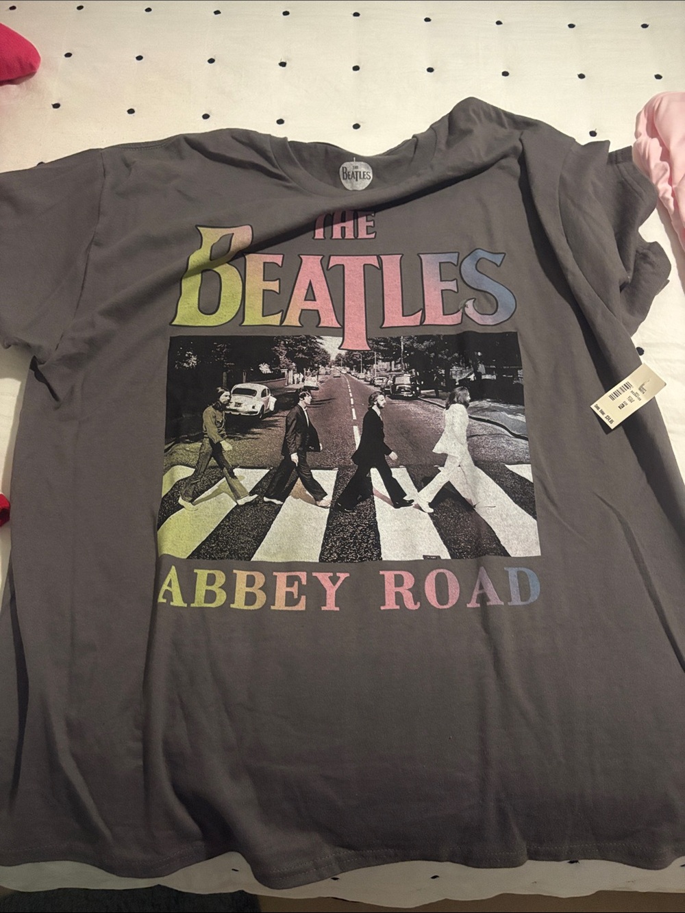 The Beatles Gray Tee with Rainbow Pastel Abbey Road Print
